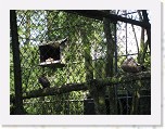 Dierentuin Burgers  Zoo 023 * 3648 x 2736 * (6.21MB)